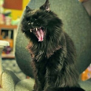 Meet your Posher, Ed